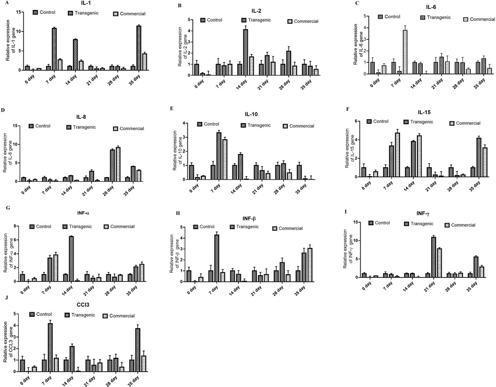 Graphical illustration of cell mediated immune response in group 1 (control group), group 2 (transgenic group), and (group 3) commercial vaccine group chickens (a) Expression analysis of IL-1 shows 12-fold increase at 35th day as compared to control and commercial vaccine group. (b) Expression analysis of IL-2 shows 4.2-fold higher expression at 14th day as compared to1.6-fold increase in group 3. (c) Expression analysis of IL-6 shows 1.5-fold increase at 35th day as compared to control and commercialvaccine group respectively. (d) Expression analysis of IL-8 in group 2 and group 3 shows 18-fold and 17-fold increase at 35th day as compared to 0 day. (e) Expression analysis of IL-10 shows 2.8-fold increase at 35th day in group2 and group 3 as compared to group 1. (f) Expression analysis of IL-15 shows 12-fold higher expression at 35th day in group 2 as compared to 0 day and group 1 and group 3. (g) Variable Expression of INF-α was observed. Maximum expression was recorded to be 6.5-fold at 14th day in group 2. (h) Expression analysis of INF-β shows maximum 4.2-fold increase at 7th day as compared to group 1 and group 3. (i) Expression analysis of INF-γ shows 11-fold increase in group 2 at 21st day as compared to group 1 and group 3. (j) Expression analysis of CCL3 shows maximum 4.2-fold increase at 7th day as compared to 0 day. Data shown are average ± SD of three biological replicates. The significance of the data is determined by one-way ANOVA and p < 0.0001 is indicated by ‘’ ****’’ and p < 0.001 is indicated by “***“above bars.