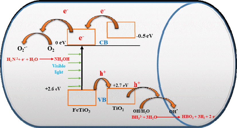 Schematic diagram for the creation and influence of electrons and holes in the hydrolysis of the ammonia borane complex.