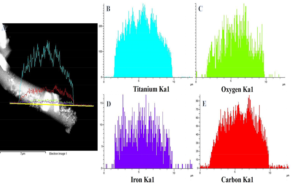 TEM image of single NF along with the line TEM EDX analysis (A) and the corresponding Ti, O, Fe, and C line analyses TEM EDX (B, C, D).