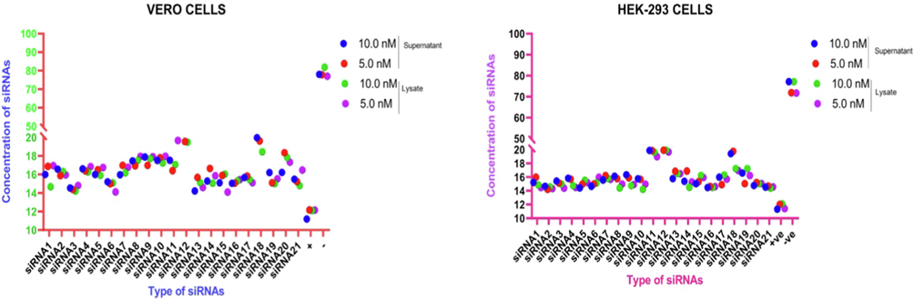 Graphical representation of Ct value of qRT-PCR of siRNAs delivered by JetPRIMER in Vero cells and HEK-293-T cells.