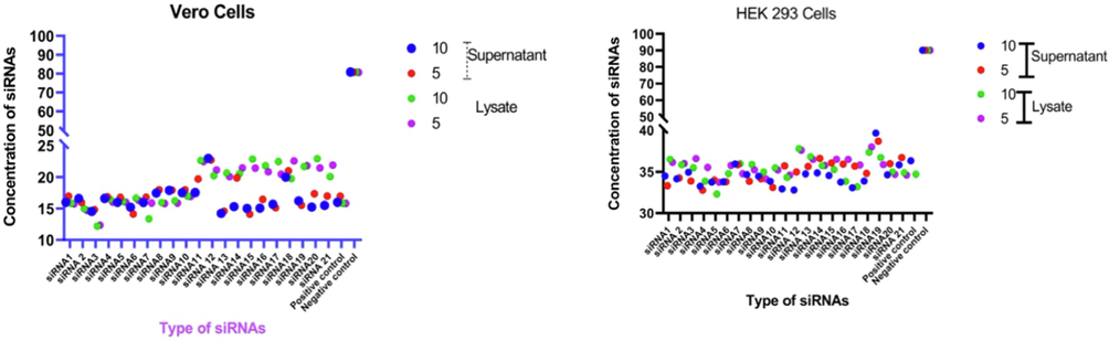 Graphical representation of Ct value of qRT-PCR of siRNAs delivered by Lipofectamine™ 2000 in Vero cells and HEK-293-T Cells.