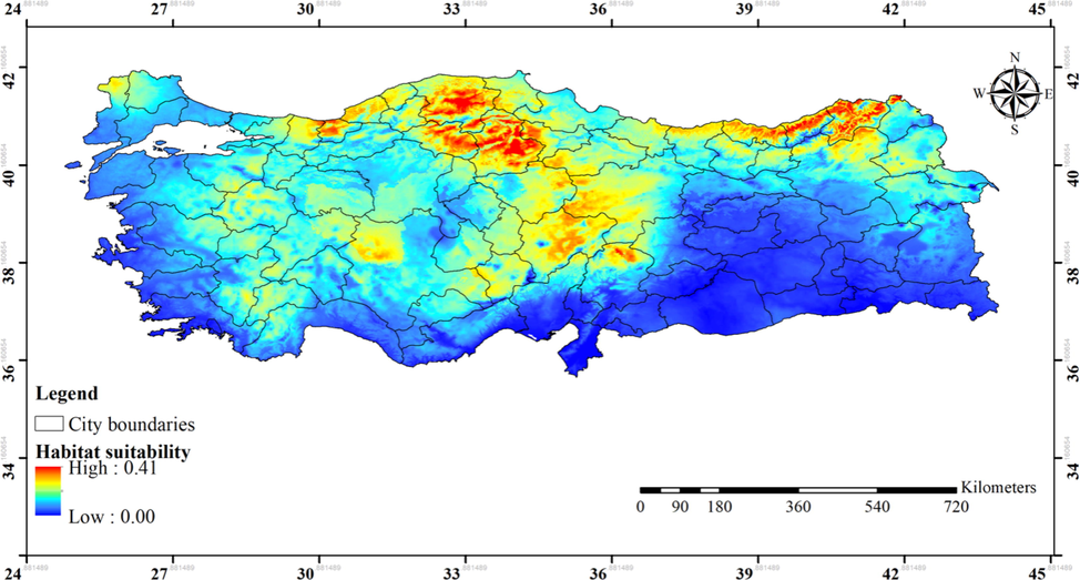 Predicted habitat suitability of Ipomoea tricolor in Turkey under current climatic conditions.