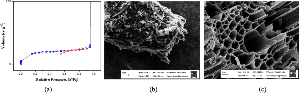 The adsorption and desorption isotherms of BSAC (a) and scanning electron microscopy figures of BS (b) and BSAC (c).