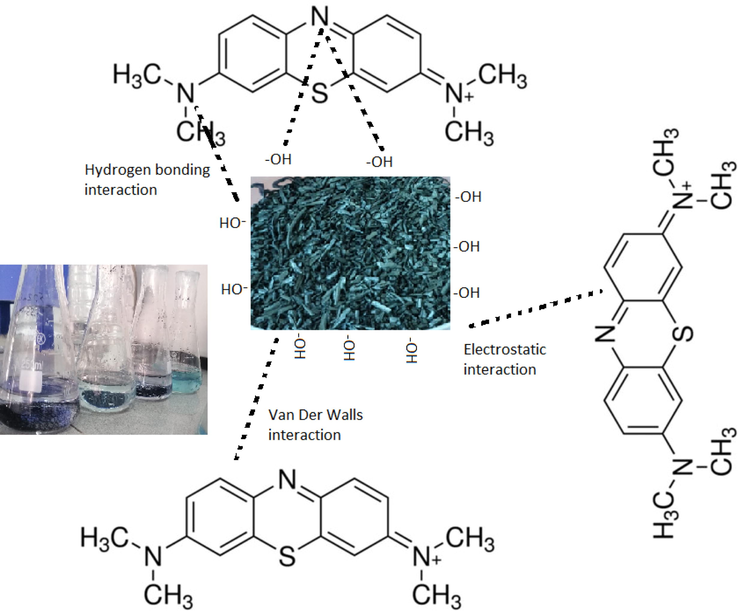 The scheme of the mechanism of MtB removal by BSAC.