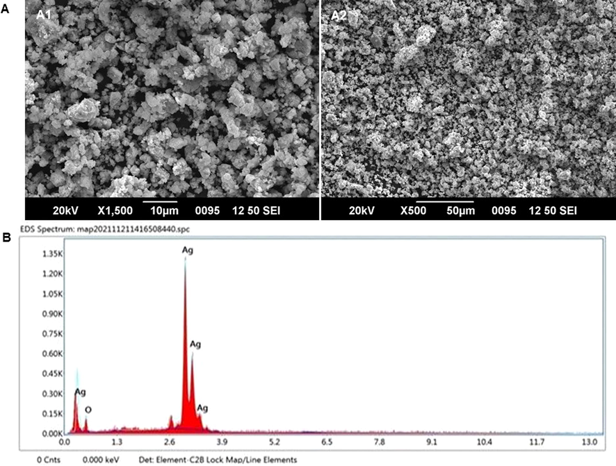 Ag2ONPs – (A1) SEM image at 10 µm (A2) at 10 µm and (B) EDX mapping.