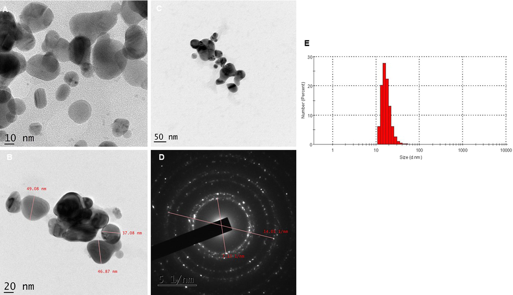 Pictures depicts TEM images of Ag2ONPs. Fig. 4(A) 10 nm, (4B) 20 nm, (4C) 50 nm magnification and (4D) SAED pattern and (5E) DLS.