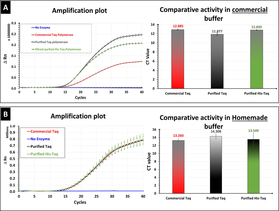 Assessment of the 5′-3′ exonuclease activity of purified His-tagged Taq DNA polymerase using TaqMan based real-time qPCR. Comparative activity of purified his-tagged Taq DNA polymerase (green), purified untagged Taq DNA polymerase (black) and commercial Taq DNA polymerase (red) in homemade buffer represented by (A) an amplification plot curve and (B) a bar chart of the generated Ct values.