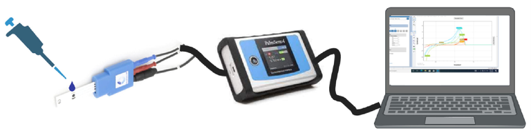 Experimental setup used for the detection of DENV antigen using the immobilized carbon chips connected to potentiostat and measuring the change in potential using LSV by the software PSTrace 5.8.