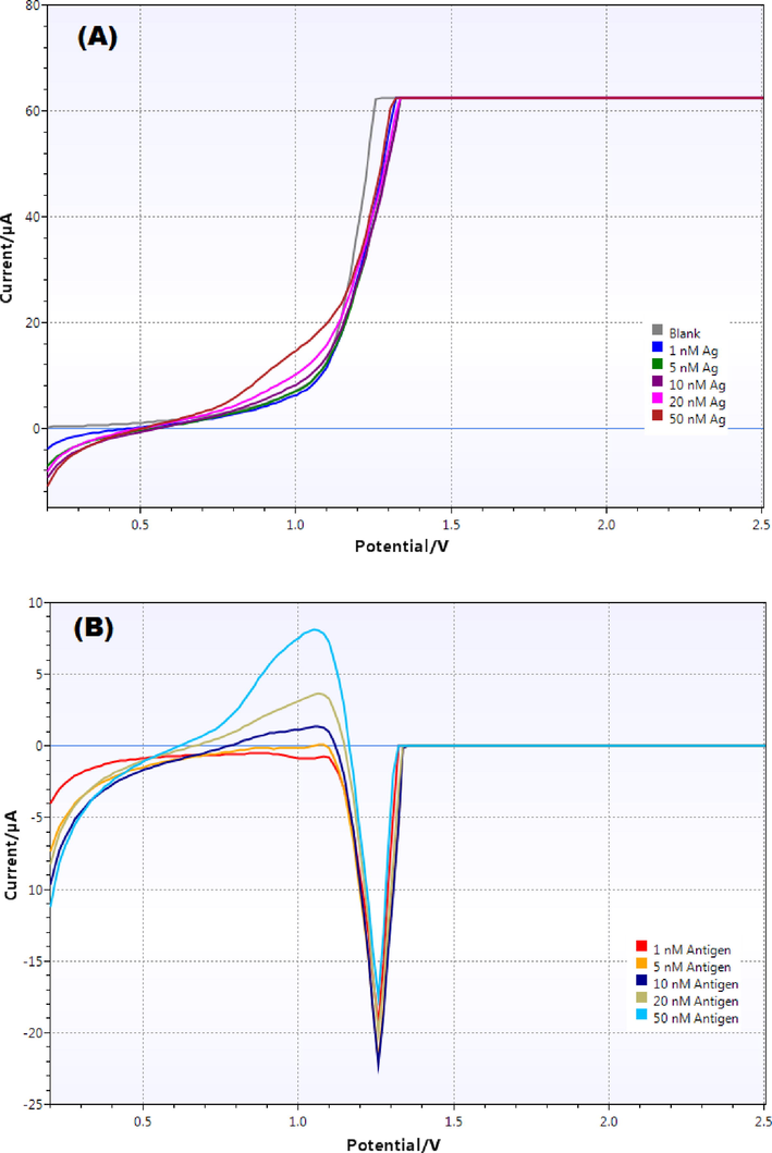 (A) Overlay linear sweep voltammograms obtained with different concentrations of antigen (blank, 1, 5, 10, 20 and 50 nM) in PBS buffer (pH 7.4) and (B) Difference voltammograms (Blank - antigen) obtained for various concentrations.