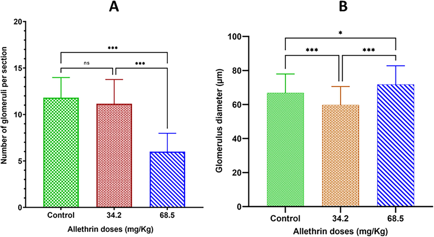 (A) The effect of allethrin on the number of glomeruli in rat offspring. The decrease observed among the animals treated with the low dose (34.2 mg/kg) animals was nonsignificant compared to the control group, while a significant decrease was observed when using higher dose of allethrin (68.5 mg/kg) compared to the control group. (B) The in utero effect of allethrin on the glomeruli diameter. There was a significant decrease in the glomeruli diameter in animals treated with low dose (34.2 mg/kg) compared to control, while a significant increase was observed in animals of the second dose (68.5) when it was compared with the control group. Significantly different *p < 0.05, ***p < 0.001, compared with the control group. ns: nonsignificant decrease. (n = 8).