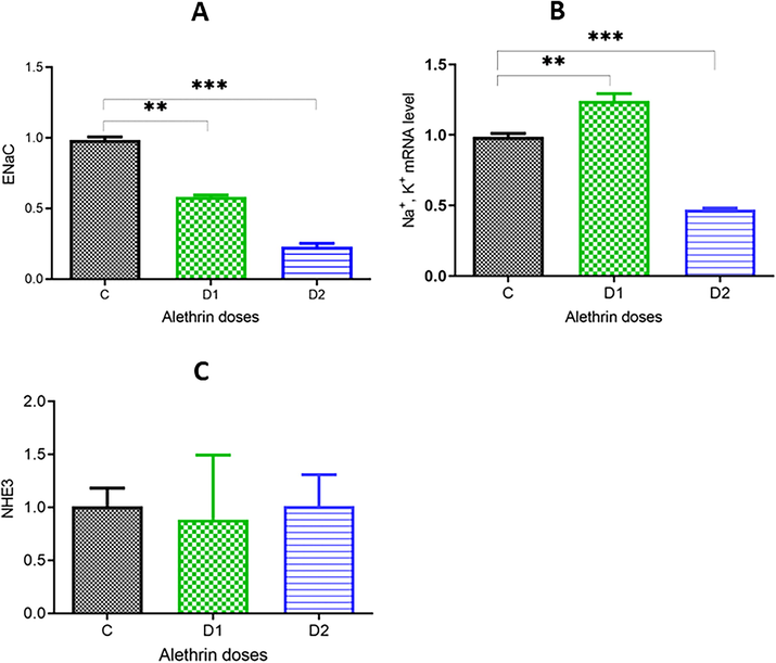 Effects of allethrin on the expression of some kidney function genes in allethrin-treated groups of rat offspring compared to control. The mRNA expression levels of the genes ENaC, NHE3 and Na+, K + ATPase were detected by RT–PCR (A-C). (C) Control, (D1) = 34,2 mg allethrin /kg/day, (D2) = 68,5 mg allethrin /kg/day. All data are expressed as the means ± SDs. **P < 0.005; ***P < 0.001. (n = 8).