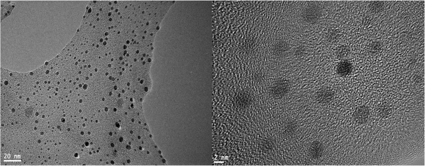 TEM micrographs showing the Moringa leaf nanoparticles.