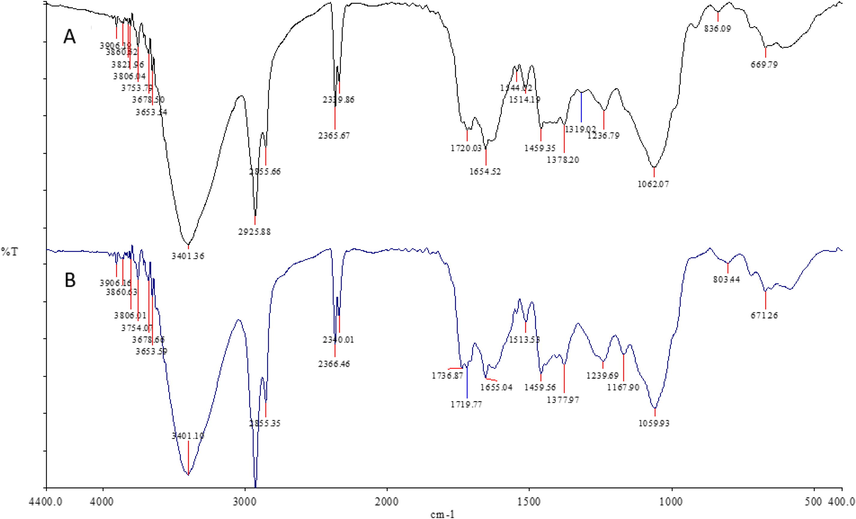 FTIR spectra of (A) Moringa nanoparticles and (B) Moringa leaf extract.