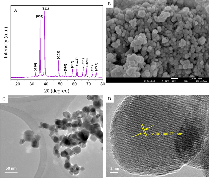 Characterization of CuO NPs. (A) XRD spectra, (B), SEM micrograph, (C) Low resolution TEM micrograph, and (D) High resolution TEM micrograph.