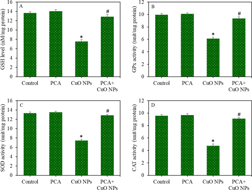 Antioxidants depletion in HepG2 cells following exposure to the CuO NPs (IC50) and/or PCA (10 µg/mL) for 24 h. (A) GSH level. (B) GPx enzyme activity. (C) SOD enzyme activity. (D) CAT enzyme activity. *statistically significant difference from the control group (p < 0.05). #statistically significant difference from the CuO NPs group (p < 0.05).