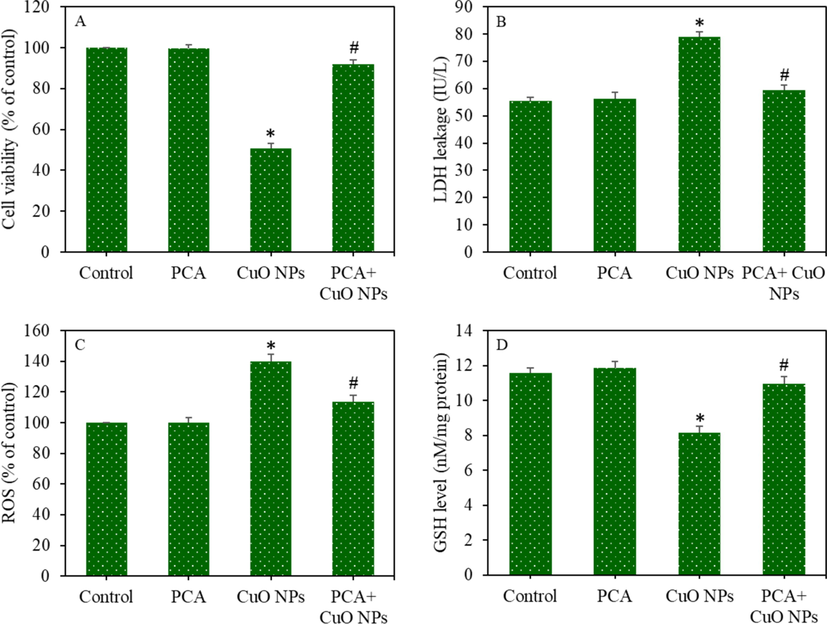 Cytotoxicity and oxidative stress response of primary rat hepatocytes following exposure to the CuO NPs (IC50) and/or PCA (10 µg/mL for 24 h. (A) MTT cell viability. (B) LDH enzyme leakage. (C) ROS level. (D) GSH level. *statistically significant difference from the control group (p < 0.05). #statistically significant difference from the CuO NPs group (p < 0.05).