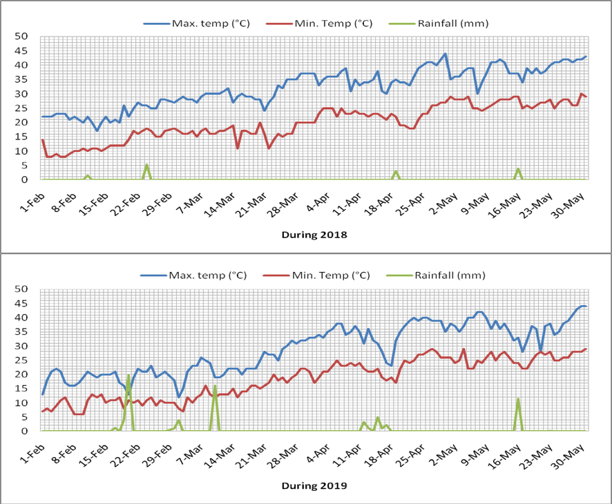 Maximum, minimum, and daily rainfall of experimental location during 2018 and 2019.