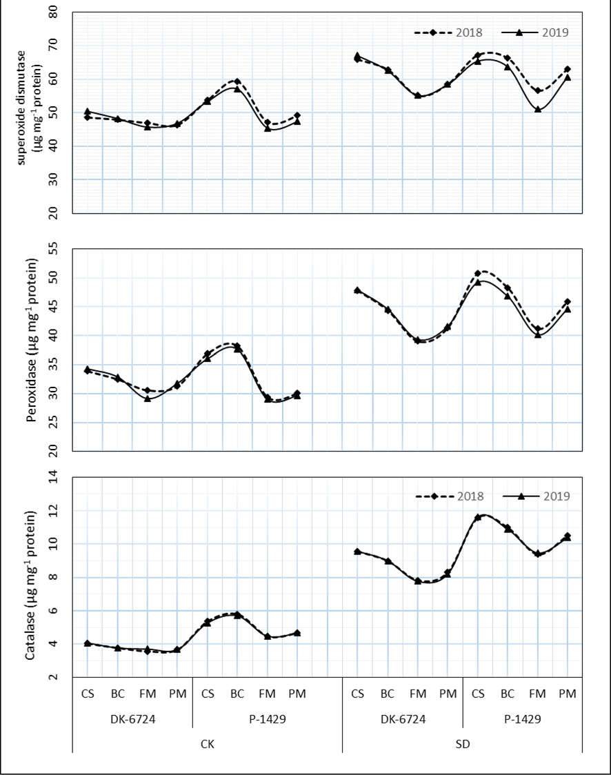 Effect of organic fertilizer sources and irrigation regimes on antioxidant activity between the maize hybrids during 2018 and 2019.