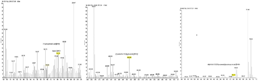 LC-MS/MS Spectrum of CTE. Mass spectra 100–200 m/z (165.029): 2-hydroxycinnamic acid with molecular weight of 164.16 g/mol. Mass spectra 100–200 m/z (181.109): inositol with molecular weight of 180.16 g/mol. Mass spectra 400–500 m/z (181.109): (+)-catechin 7-O-β-glucoside with molecular weight of 452.13 g/mol. Mass spectra 400–500 m/z (181.109): delphinidin-3-O-(6-O-p-coumaroyl) glucoside-pyruvic acid with molecular weight of 680.119 g/mol.