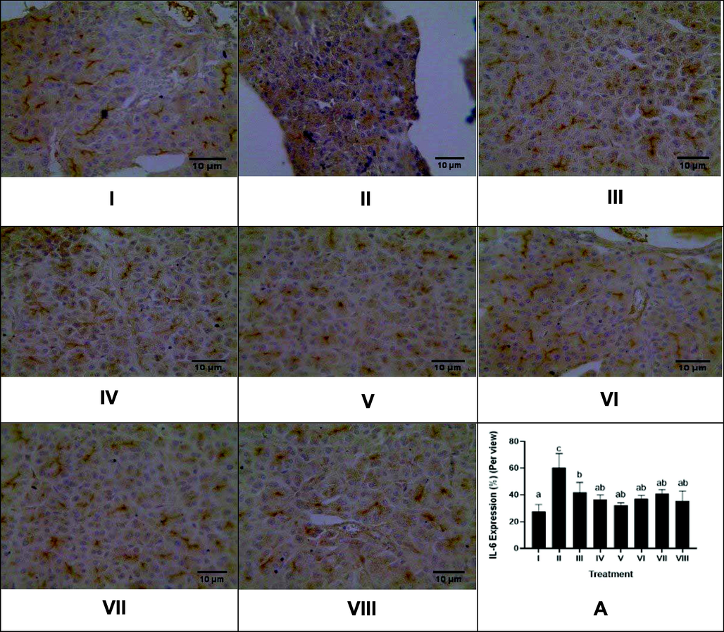 Effect of CTE toward IL-6 Expression of Pancreas in DM Rats Model. Hystopathology of pancreas tissues, IL-6 positive cells are distinguishable by their brown cytoplasmic staining and hemotoxylin eosin counterstain (magnification x40). I: negative control; II: DM rats; III: DM rats + CTE 200 mg/kg BW; IV: DM rats + CTE 400 mg/kg BW; V: DM rats CTE + 800 mg/kg BW; VI: DM rats + Glibenclamide 0.45 mg/kg BW; VII: DM rats + Simvastatin 0.9 mg/kg BW; VII: DM rats + Glibenclamide 0.45 mg/kg BW and Simvastatin 0.9 mg/kg BW. *A. Various letters (a, ab, b, c) significantly differences between treatments toward IL-6 expression (Tukey’s HSD test, p < 0.05).