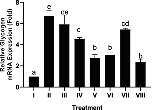 Effect of CTE toward Glycogen Gene Expression of Pancreas in DM Rat Model. *Data provided as a mean and standard deviation. I: negative control; II: DM rats; III: DM rats + CTE 200 mg/kg BW; IV: DM rats + CTE 400 mg/kg BW; V: DM rats CTE + 800 mg/kg BW; VI: DM rats + Glibenclamide 0.45 mg/kg BW; VII: DM rats + Simvastatin 0.9 mg/kg BW; VII: DM rats + Glibenclamide 0.45 mg/kg BW and Simvastatin 0.9 mg/kg BW. *Various letters (a, b, c, cd, de, e) significantly differences between treatments toward glycogen gene expression of pancreas (Tukey’s HSD test, p < 0.05).