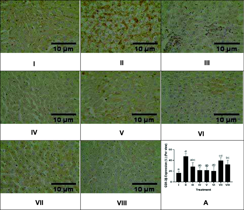 Effect of CTE toward GSK-3β Expression of Liver in DM Rats Model. Hystopathology of liver tissues, GSK-3β cells are distinguishable by their brown cytoplasmic staining and hemotoxylin eosin counterstain (magnification x40) I: negative control; II: DM rats; III: DM rats + CTE 200 mg/kg BW; IV: DM rats + CTE 400 mg/kg BW; V: DM rats CTE + 800 mg/kg BW; VI: DM rats + Glibenclamide 0.45 mg/kg BW; VII: DM rats + Simvastatin 0.9 mg/kg BW; VII: DM rats + Glibenclamide 0.45 mg/kg BW and Simvastatin 0.9 mg/kg BW. *A Various letters (a, ab, abc, bc, cd, d) significantly differences between treatments toward GSK-3β expression (Tukey’s HSD test, p < 0.05).