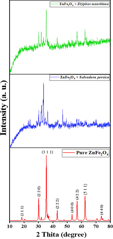 XRD patterns of pure and modified ZnFe2O4 photocatalysts.