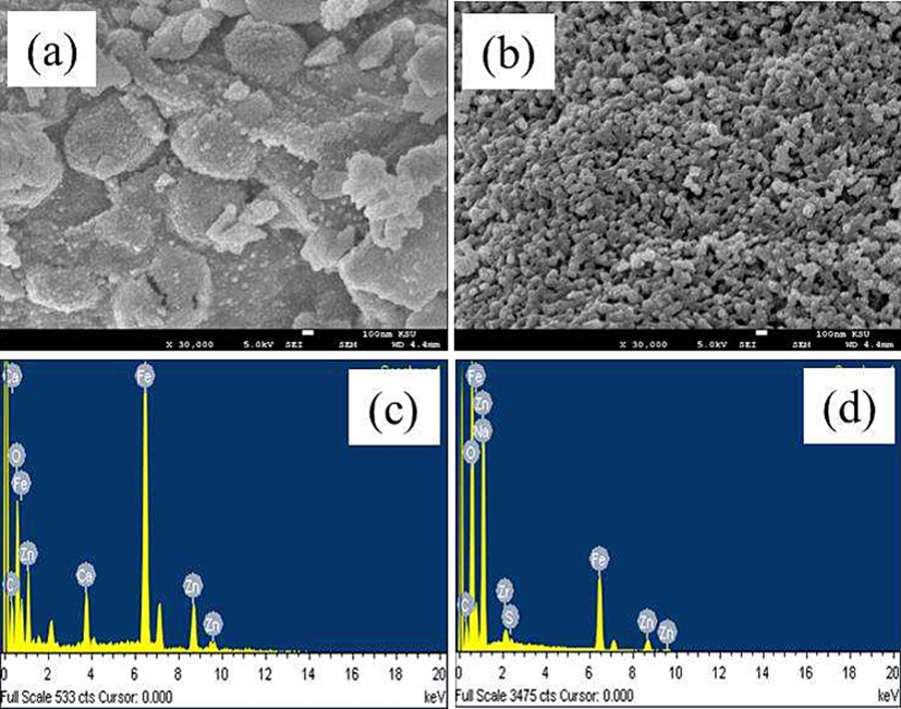 SEM images of ZnFe2O4 modified with (a) Ziziphus mauritiana (b) Salvadora persica; and EDS images of ZnFe2O4 modified with (c) by Ziziphus mauritiana (d) Salvadora persica.