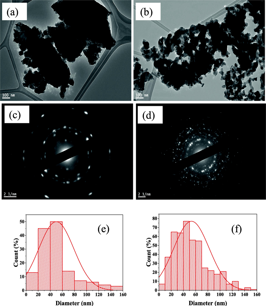 TEM images of ZnFe2O4 modified with (a) Ziziphus mauritiana (b) Salvadora persica. SAED images of ZnFe2O4 modified with (c) Ziziphus mauritiana (d) Salvadora persica. Distribution of different particle sizes for ZnFe2O4 modified by (e) Ziziphus mauritiana (f) Salvadora persica.