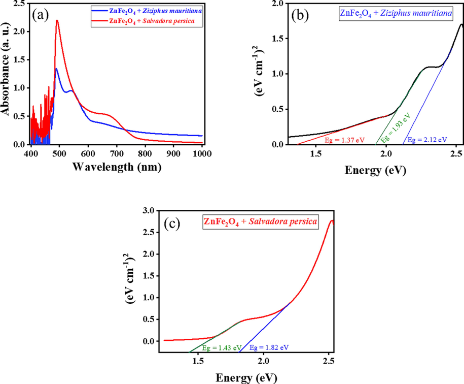 UV–vis absorption spectra (a) and plots of (Ahν)n as a function of photon energy (hν) of ZnFe2O4 treated by plant extracts (b, c).