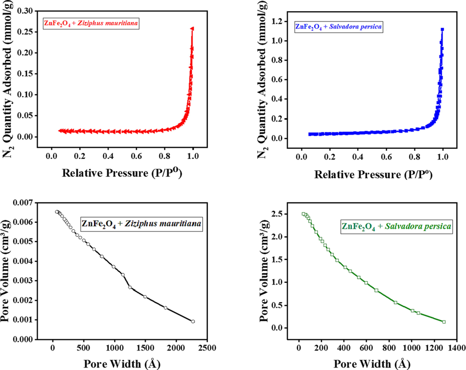 BET results of ZnFe2O4 modified by plant extracts.