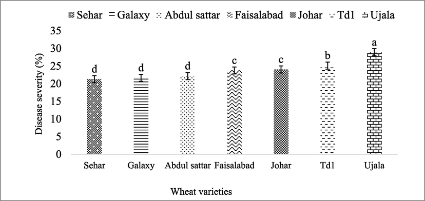 The response of wheat varieties against yellow rust in open field screening trial. The disease severity (%) data of yellow rust without any treatment. Bars are standard errors of mean. The lettering on bars indicate the mean difference at 5%.