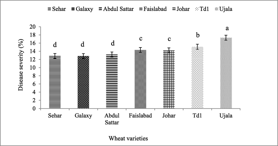 The average seasonal disease severity (%) of wheat varieties. The data taken before and after treatments at various time intervals. Bars are standard errors of mean. The lettering on bars indicate the mean difference at 5%.