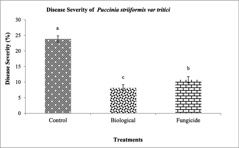 Data of overall response of treatments in a cropping season showing the disease severity (%) of Puccinia striiformis var. tritici in biological treatment as compared to fungicide and control.