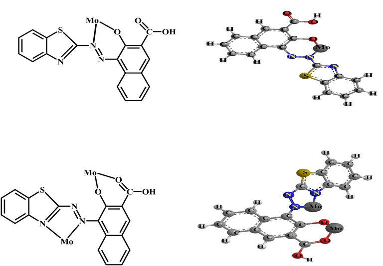 A schematic diagram to illustrate the 1:1 and 2: 1 (Mo: BTAHN) complexes.