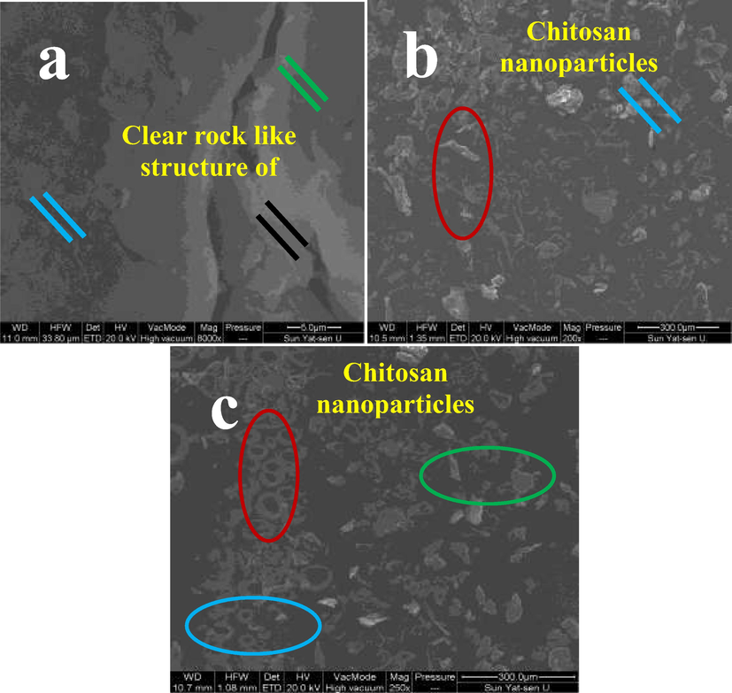 Scanning electron microscope observation for confirmation of obtained chitosan (a), chitosan nanoparticles (b) and chitosan nanoparticles loaded essential oils (c).