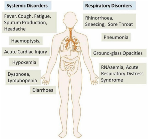 COVID-19 infection causes systemic and respiratory problems (Rothan and Byrareddy, 2020).