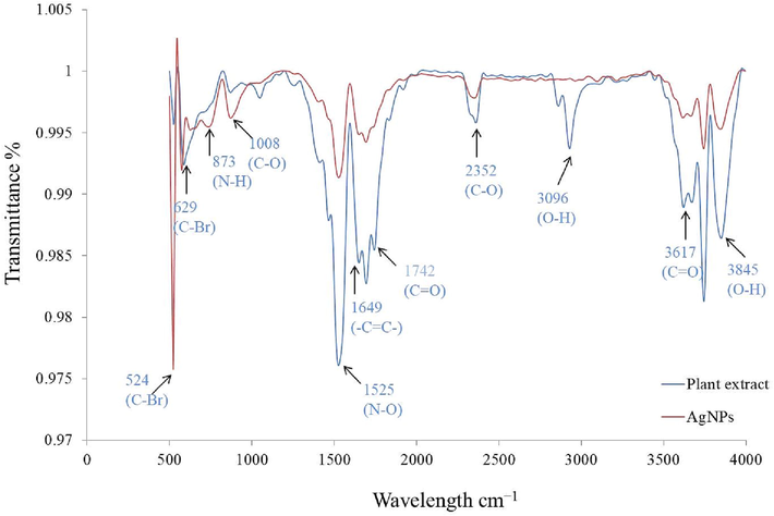 FTIR spectrums of fruit extract & synthesized Nyc.-AgNPs.