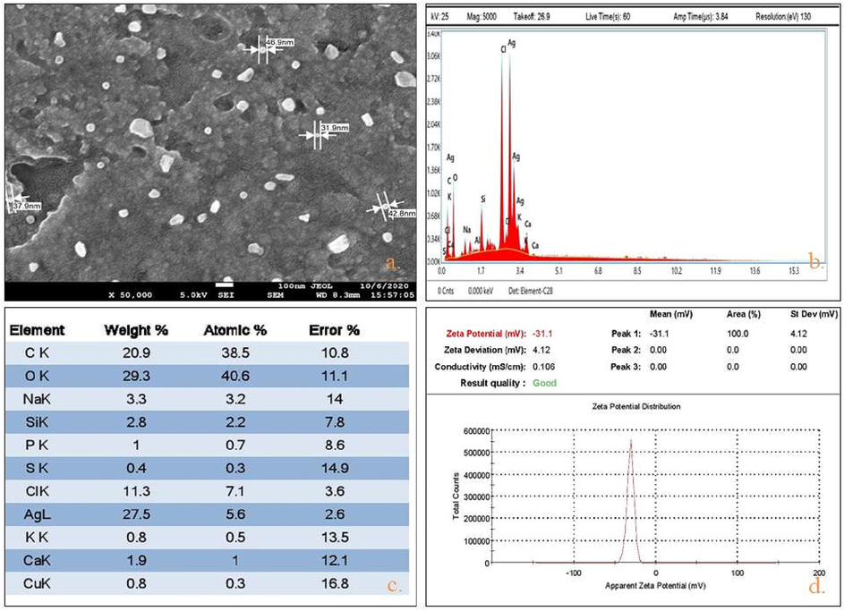 Characterization of Synthesized Nyc.-AgNPs using (a) SEM analysis (size range (20–60 nm), (b,c) EDX spectroscopy (Ag 27.5 %), and (d) zeta potential stability valuation (−31.1 mv).