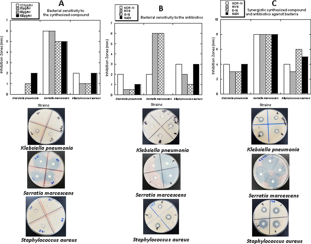 A) Antimicrobial activity of the compound (C7H12N2)2[CuCl4]; B) Antimicrobial activity of the antibiotics Norfloxacin (NOR-10), Novobiocin (NV-5), Erythromycin (E-15), and Nalidixic acid (NA30); C) Antimicrobial activity of the compound (C7H12N2)2[CuCl4] combined with the antibiotics.