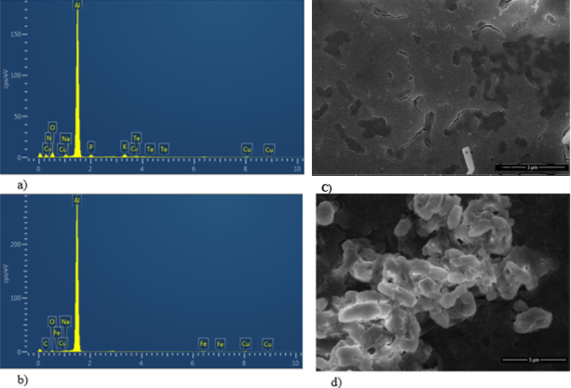 EDX analysis of the strain (a) in presence of tellurite (1 mM) confirming its uptake by Te peaks and (b) in absence of tellurite (c) SEM of the strain with tellurite showing black (Te0) inside the cells (d) SEM image of the control sample containing no tellurite.