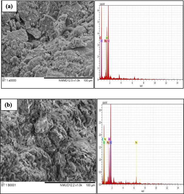 SEM-EDX images of (a) NIBC, and (b) NIBC after adsorption (SEM images were taken at 1000x magnification).