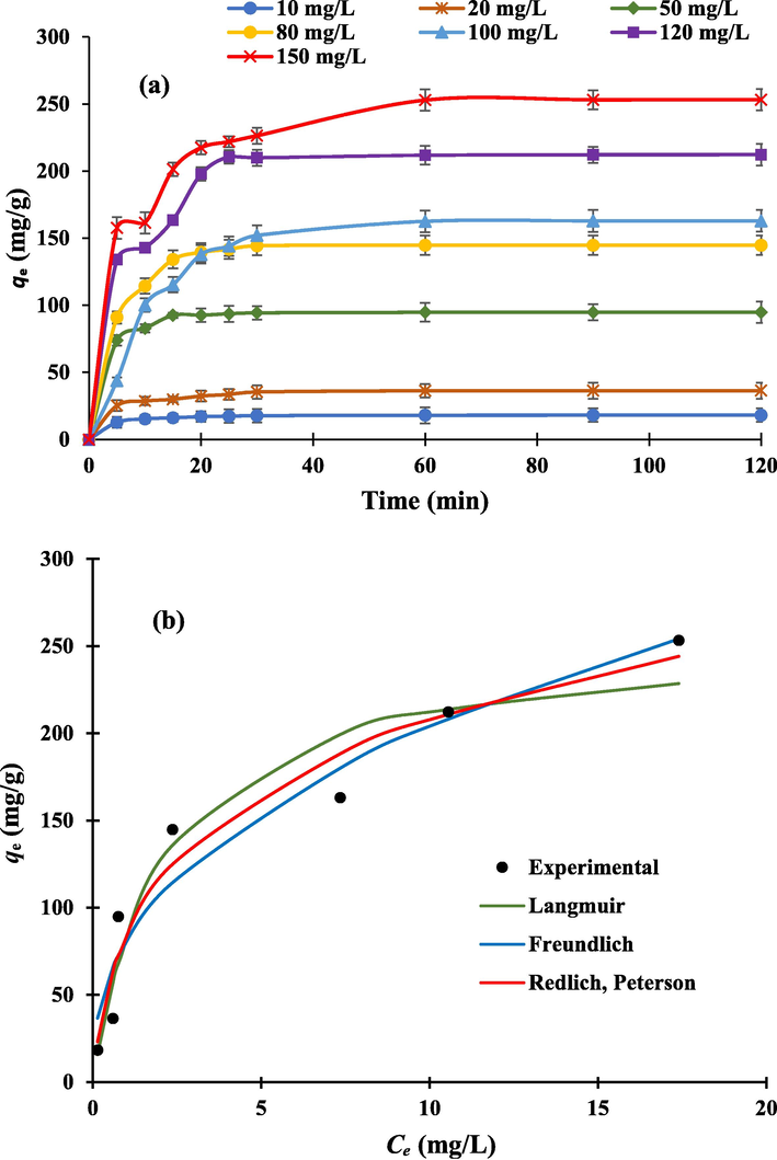 (a) Effect of initial MB concentration vs contact time on the adsorption capacity (qt) of the NIBC. (NIBC dose = 0.06 g, pH = 5.60, V = 100 mL, shaking speed = 125 rpm, T = 303 K); (b) nonlinear isotherm models for the MB dye adsorption by NIBC.