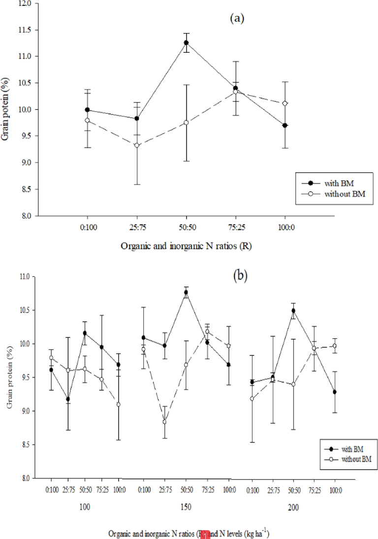 Interaction between BM × R (a) and BM × R × N (b) for protein content (%) of spring maize. Means data of three replicates with standard deviations presented by vertical bars.