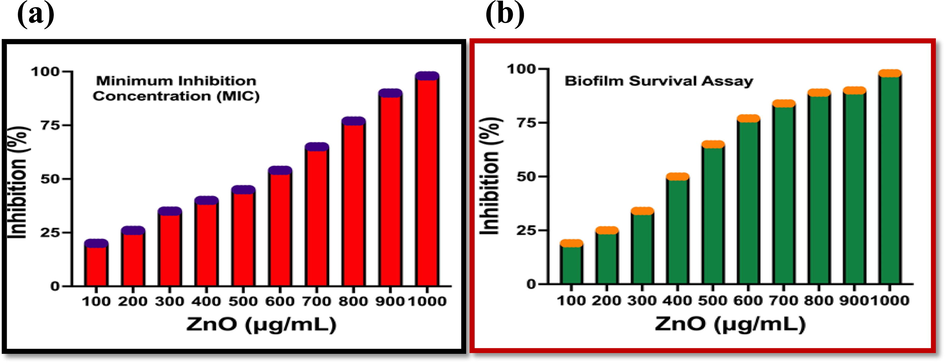 Liquid medium based biofilm inhibition assay (a) and Survival inhibition assay of Streptomyces coeruleorubidus mediated ZNO NPs against K. pneumoniae.