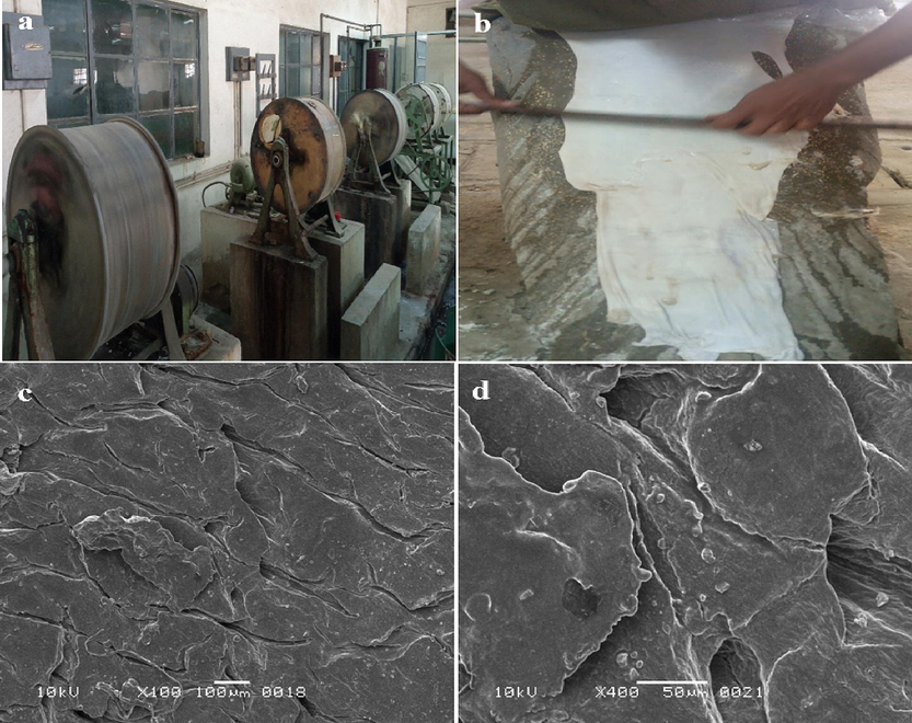 (a)Tannery facility at Leather Research Center, PCSIR, Karachi, (b) Scudding of skin after bating showing removal of hair roots and unwanted proteins, SEM images of processed skin at (c) 100x and (d) 400x.