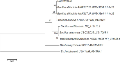 The phylogenetic tree of Bacillus altitudinis CAS-WZS-08.