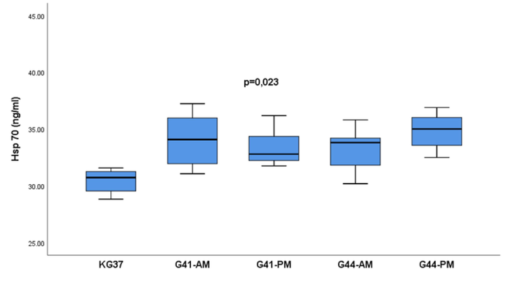 Influence of the length of water temperature exposure of rats of experimental groups on the concentration of heat shock protein 70 in serum: The values of heat shock protein 70 are presented in the form of a median with an interquartile range (25-75percentile).; Hsp 70- measurement of heat shock protein 70;. Vertical lines represent the range of minimum and maximum values; p-probability; KG37-control group of rats exposed to water temperatures of 37˚G41-AM- antemortem group exposed to water temperatures of 41˚C (exposure length 20 min); G41-PM- postmortem group exposed to water temperature 41˚C (length of exposure to death); G44-AM-antemortem group of rats exposed to water temperatures of 44˚C (exposure length 20 min); G44-PM-postmortem group of rats exposed to water temperatures of 44˚C (length of exposure to death);