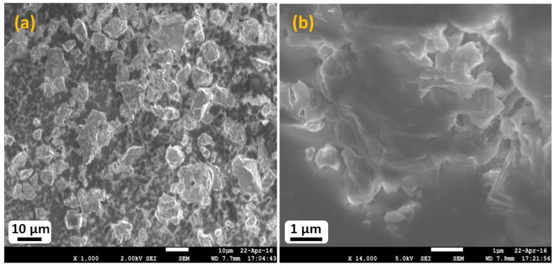 Scanning Electron Micrograph (SEM) resin of Vateria indica after crushing mortar and pestle.