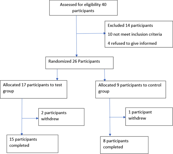 CONSORT Diagram and the demographic details of the patients analyzed in this study.